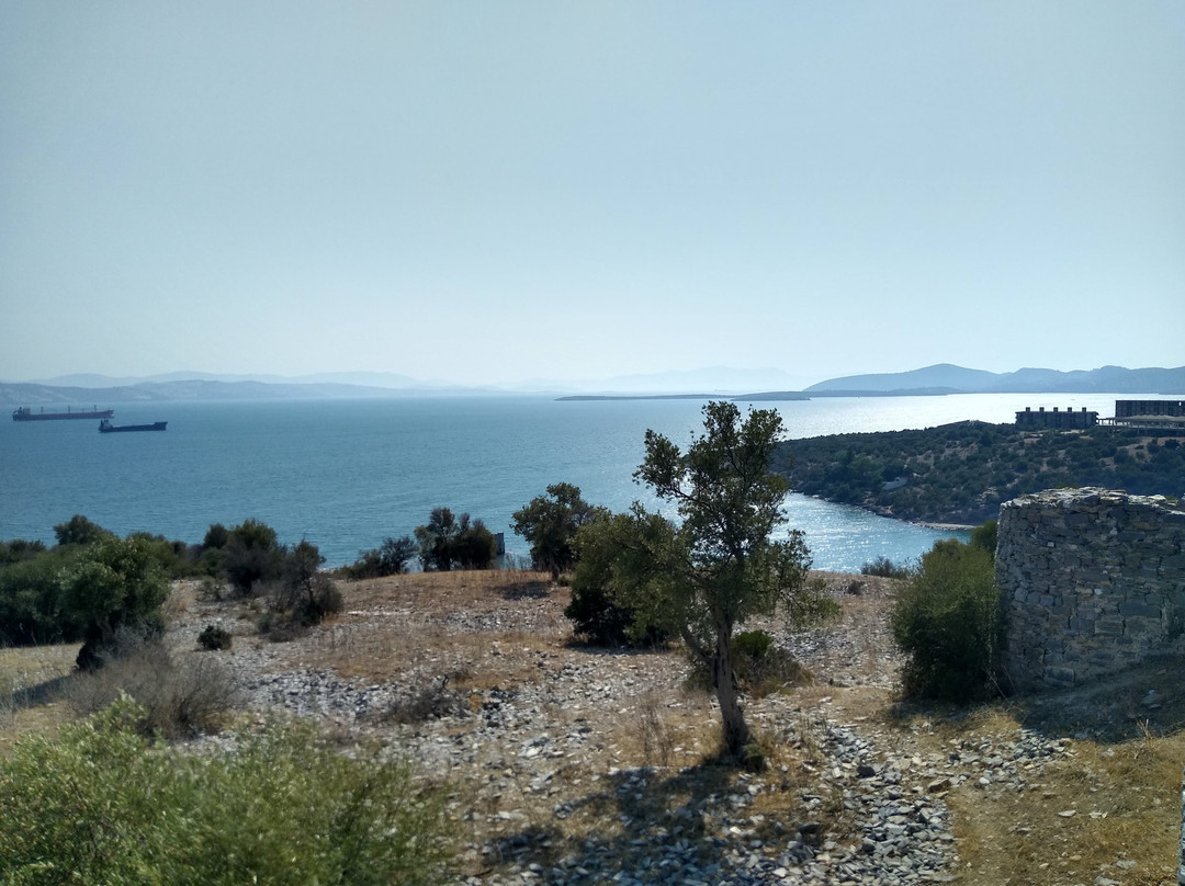 Iasos Antik Kenti景点图片