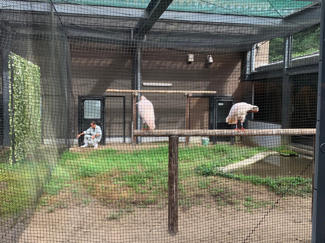 Nagaoka Toki to Shizen no Gakushukan-长冈市必去景点