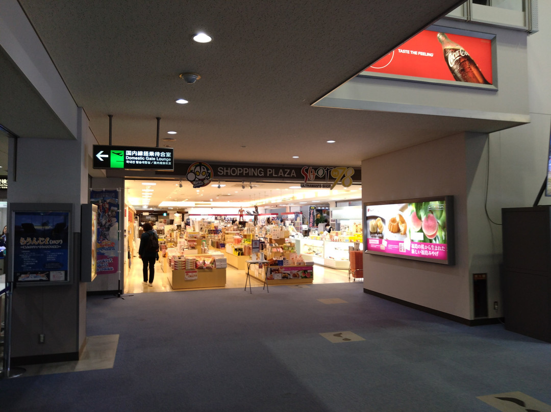 Fukushima Airport Bldg General Information Center-玉川村必去景点