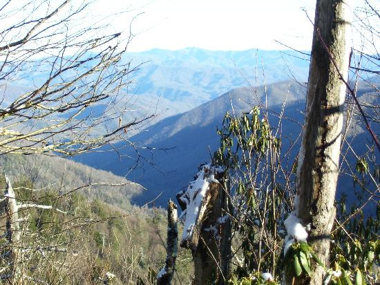 Balsam Mountain Road-大雾山国家公园必去景点