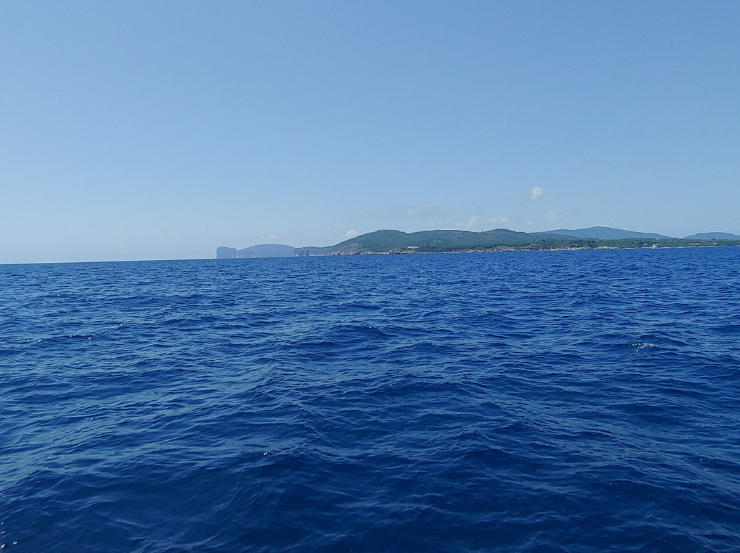 Freccia delle Grotte - Escursioni Grotte di Nettuno-阿尔盖罗必去景点