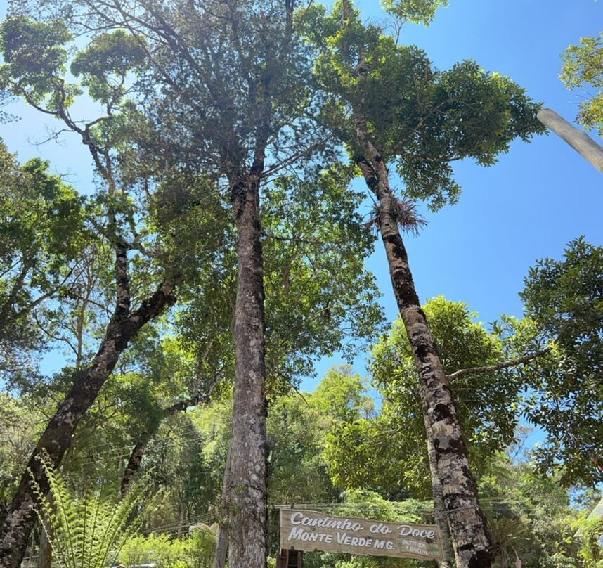 Verde Minas Passeio-蒙特贝尔德必去景点