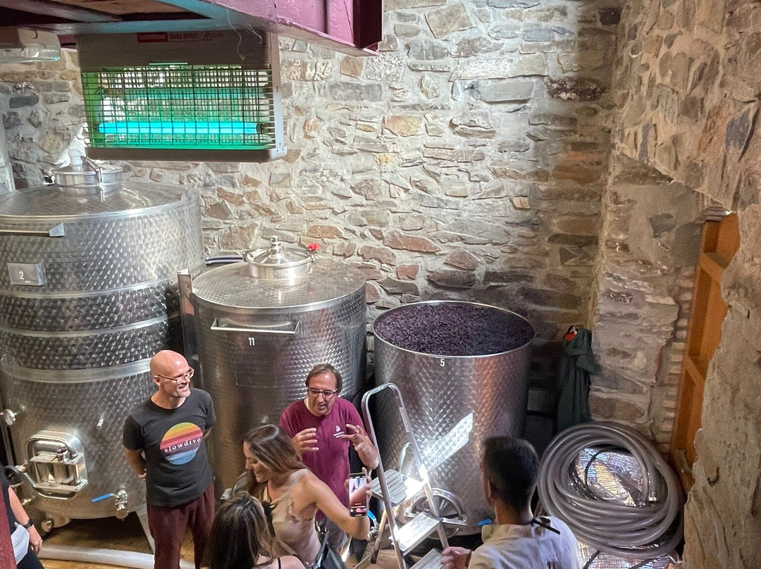 Celler Burgos Porta景点图片