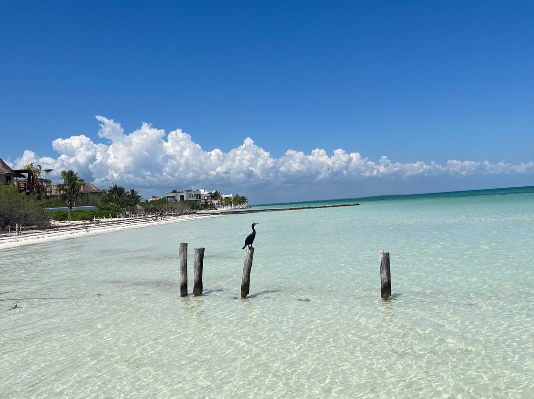 Nômade Temple Holbox主图