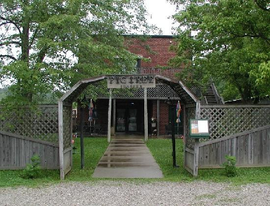 FigTree Gallery and Coffee Shop-纳什维尔必去景点