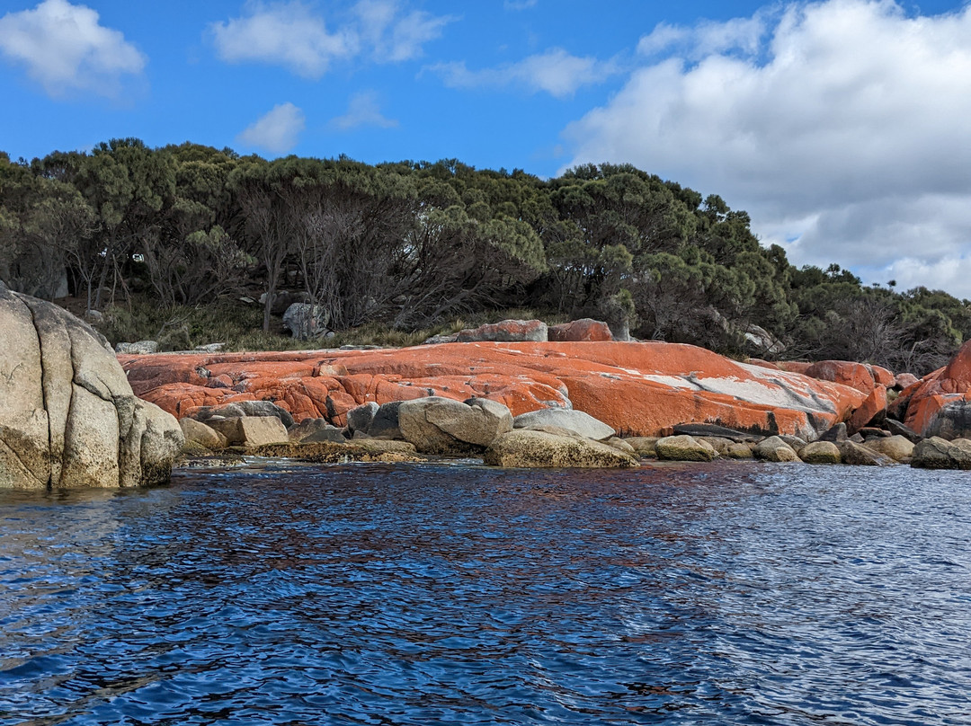 Bay of Fires Eco Tours景点图片