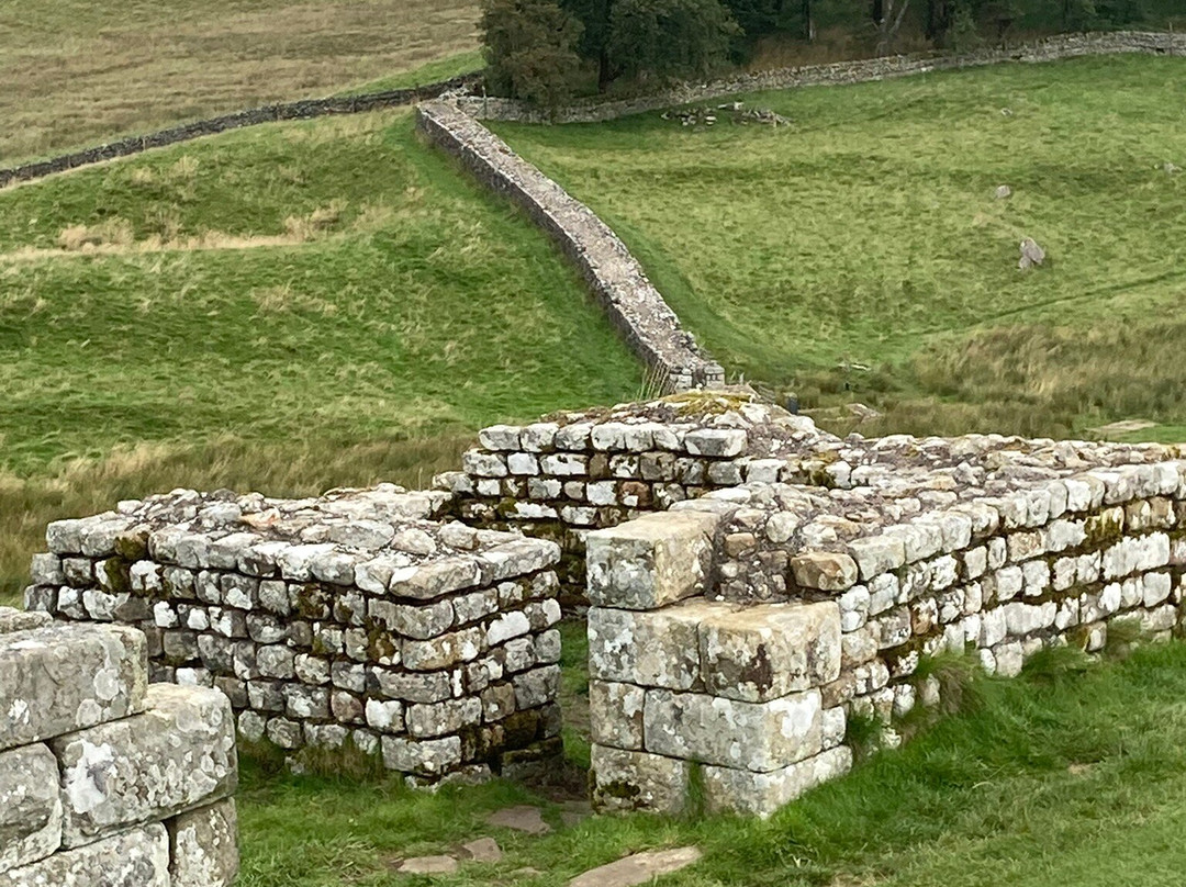 Housesteads Roman Fort - Hadrian's Wall景点图片