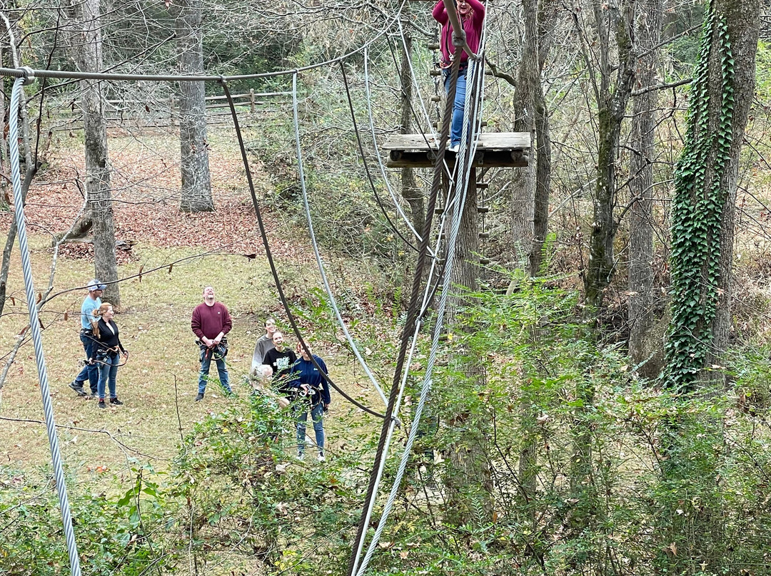 Carolina Treetop Challenge景点图片