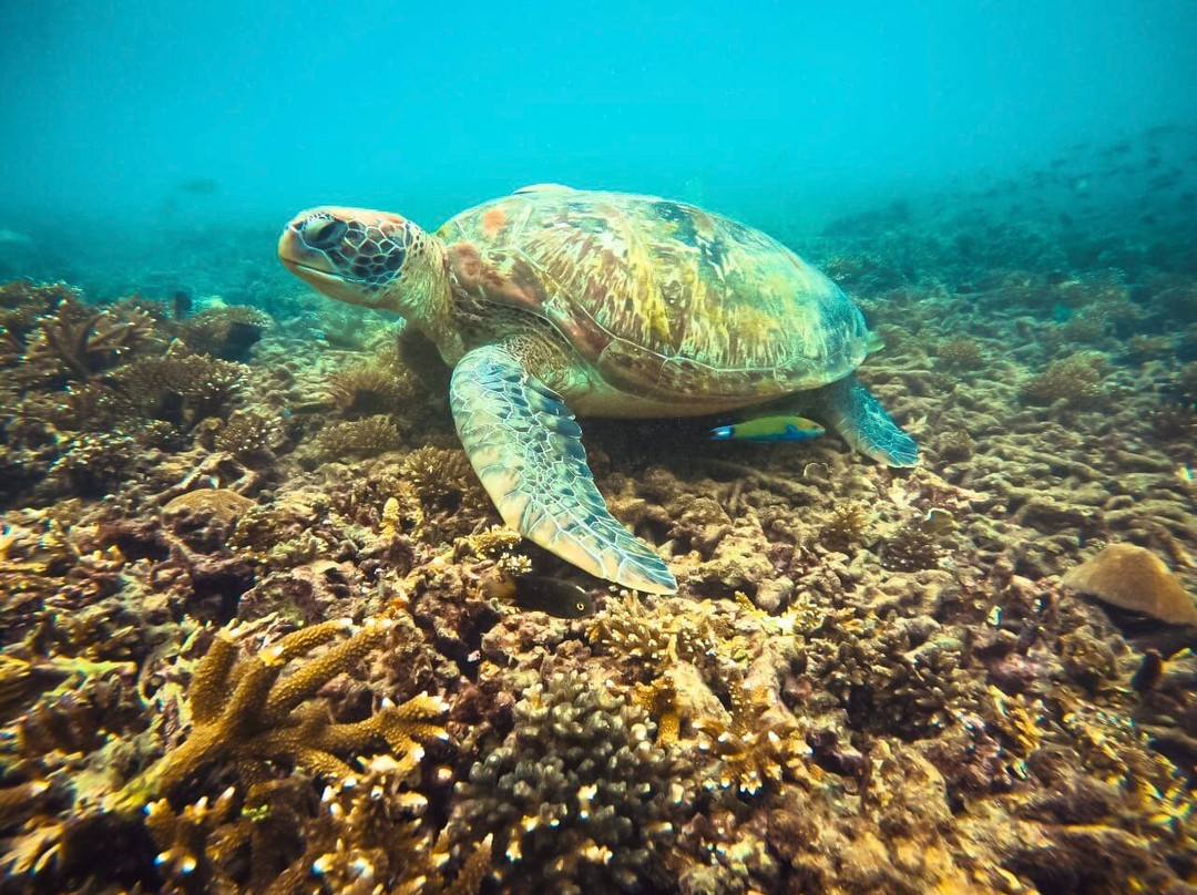 Sangthong Tours-涛岛必去景点