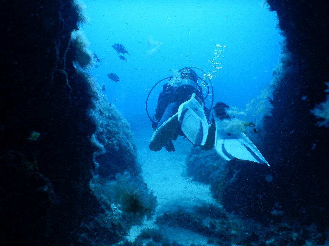 Lanzarote Dive Centre-卡门港必去景点