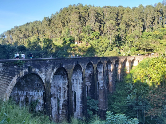 Green Lanka Tours (Galle)-加勒必去景点