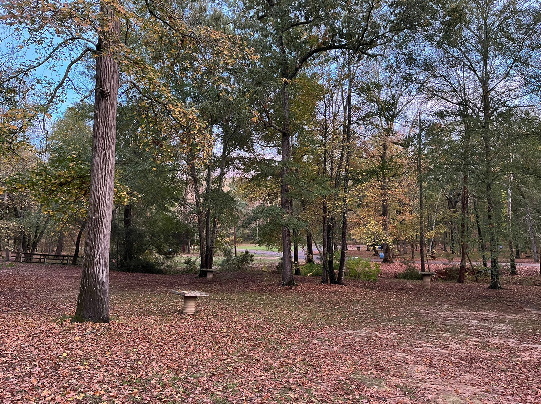 Davey Dogwood Park-Palestine必去景点