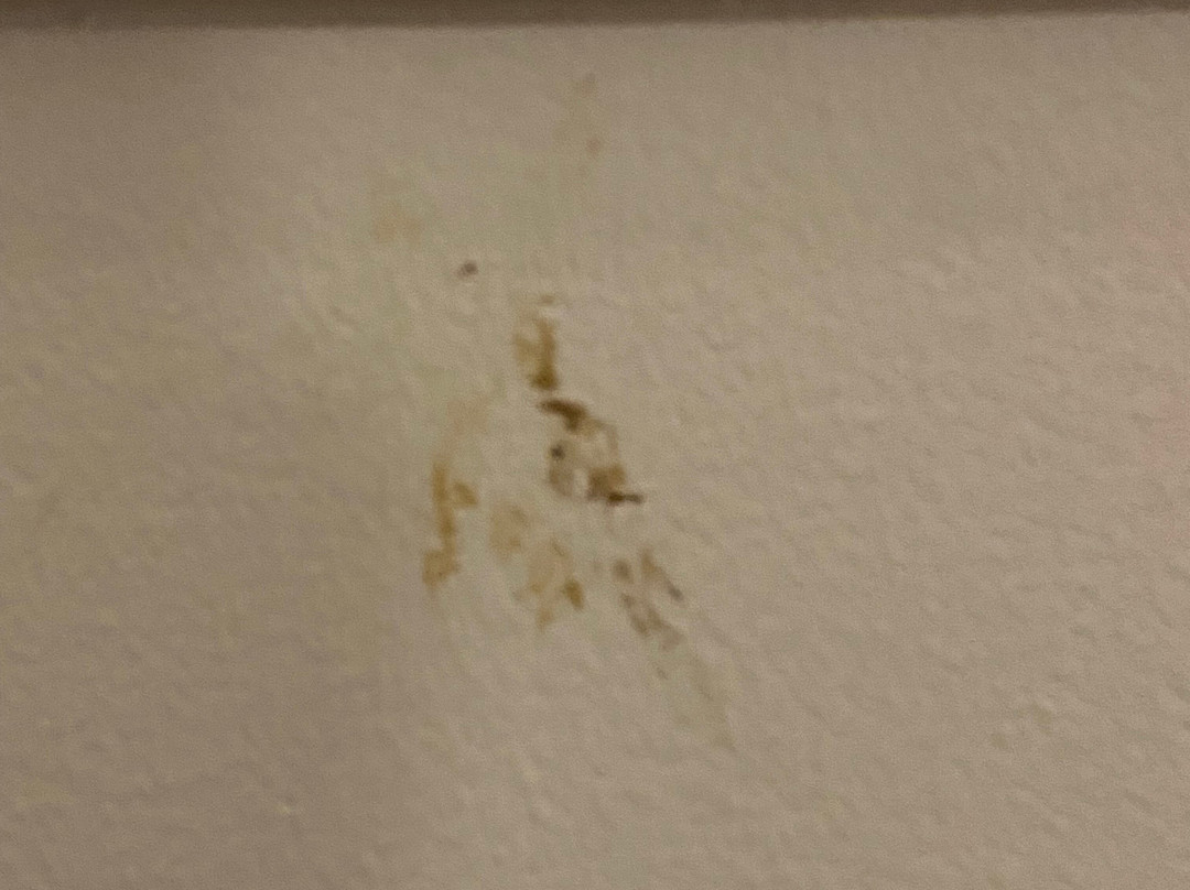 班拉迈海滩度假村主图