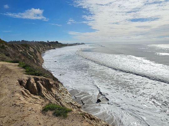 Goleta Butterfly Grove-戈利塔必去景点