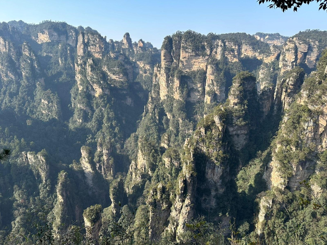 Tour-Zhangjiajie景点图片