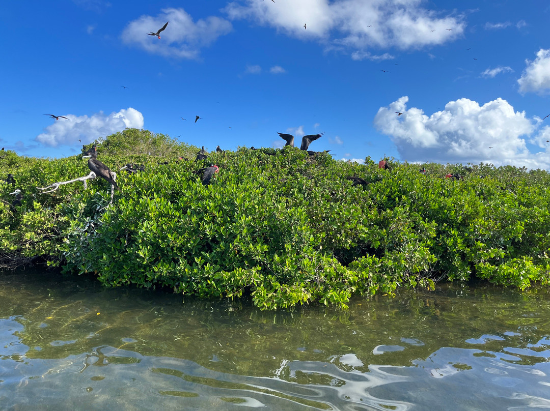 Barbuda Express-圣 约翰必去景点