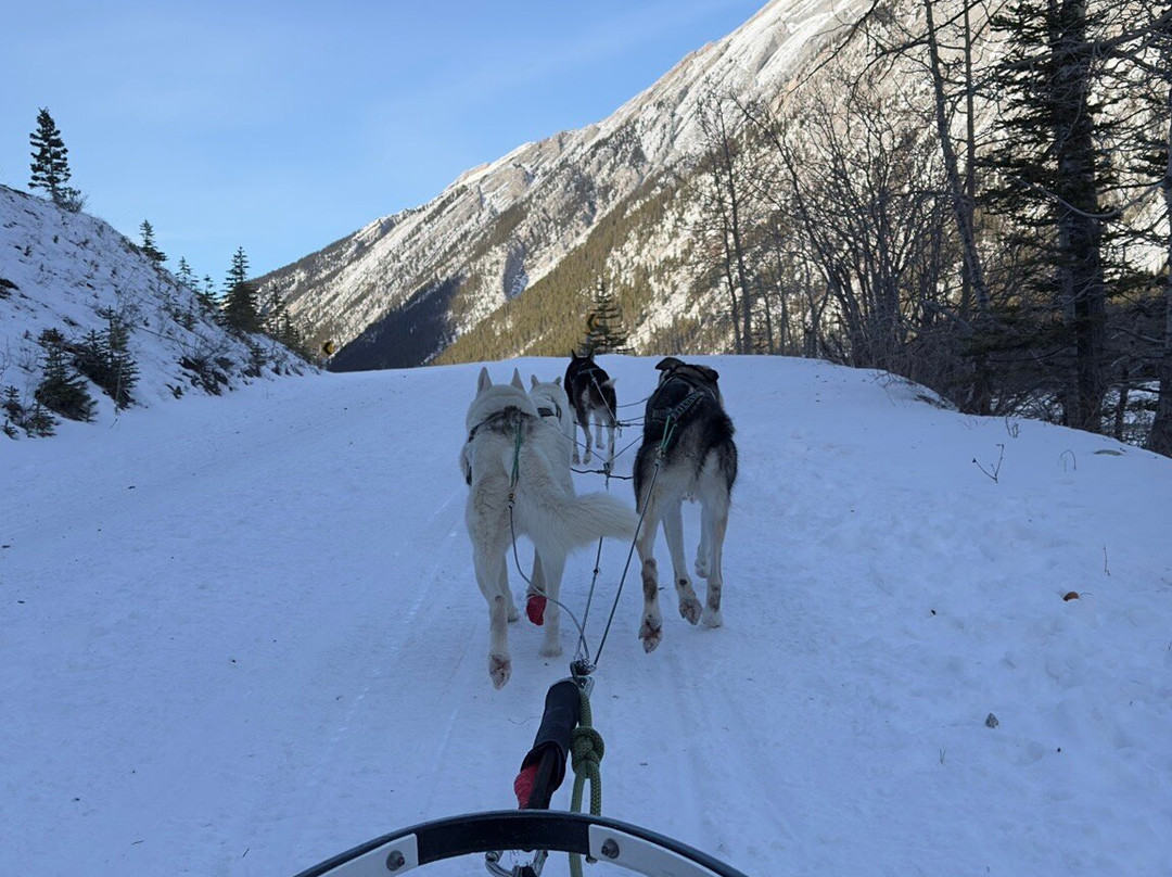 Kananaskis Outfitters-卡那那斯基斯必去景点