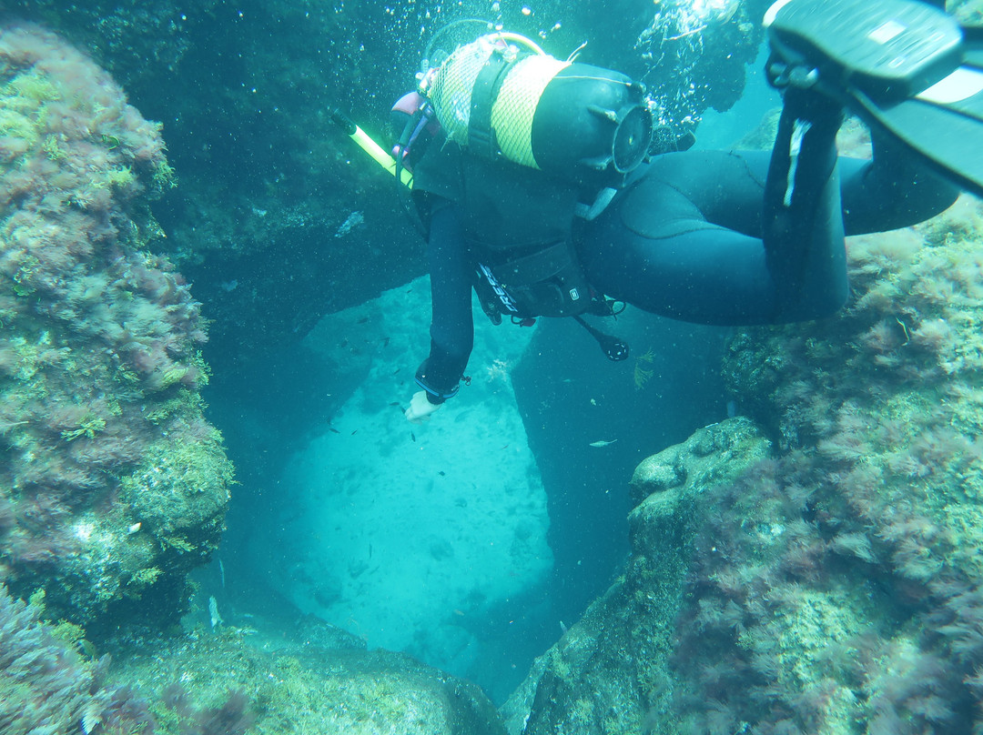 Davy Jones Diving景点图片