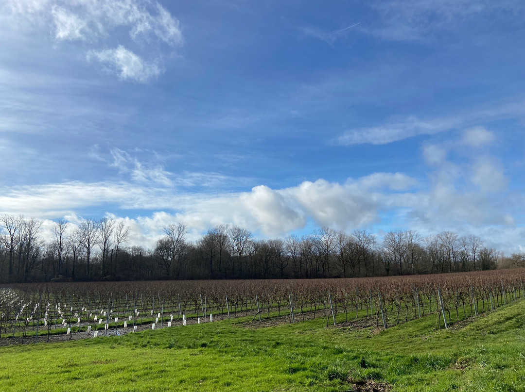 Le Logis Du Paradis主图