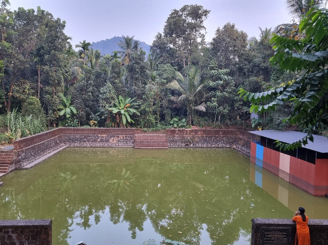Mridanga Saileswari Temple景点图片