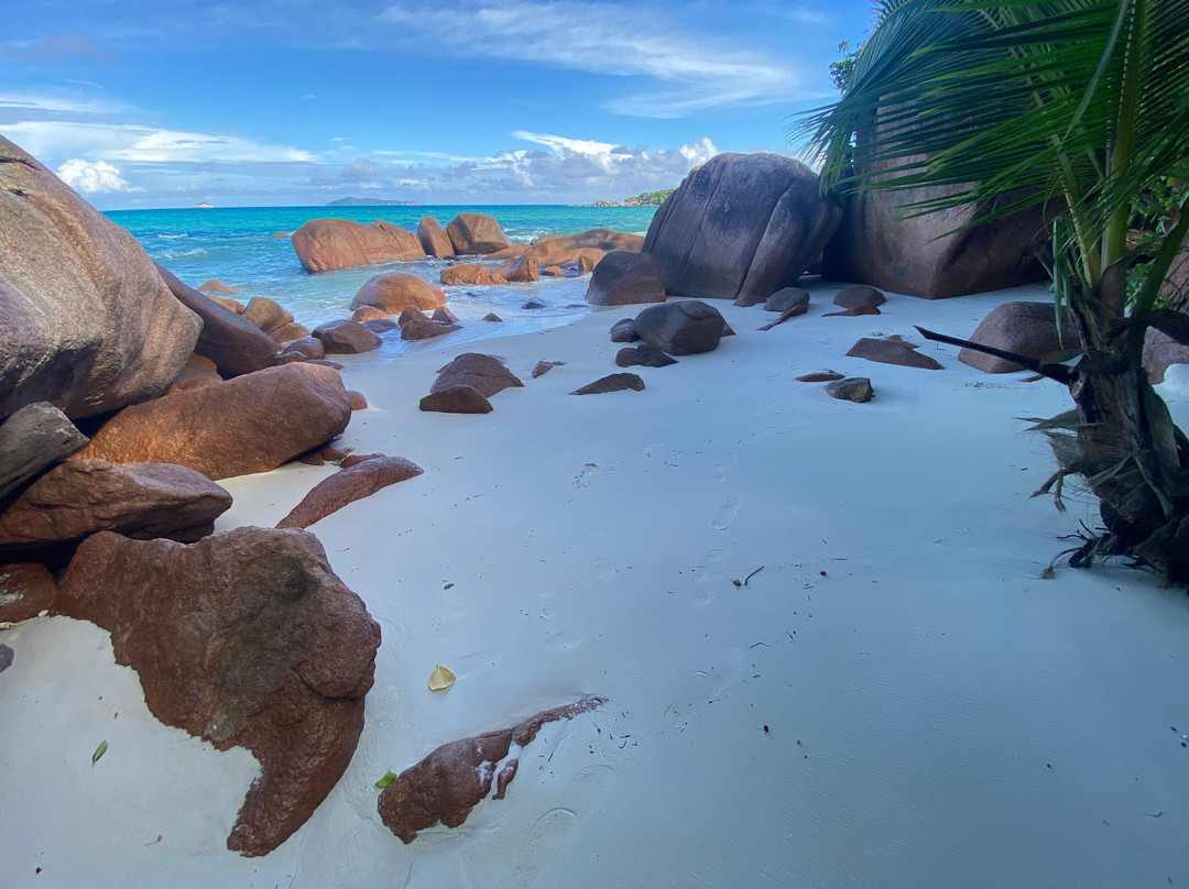 莱富安湾旅馆主图