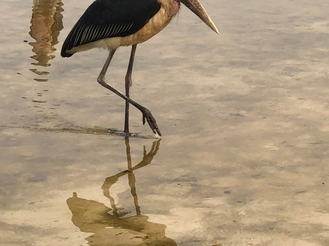 Kalanoga Resort主图