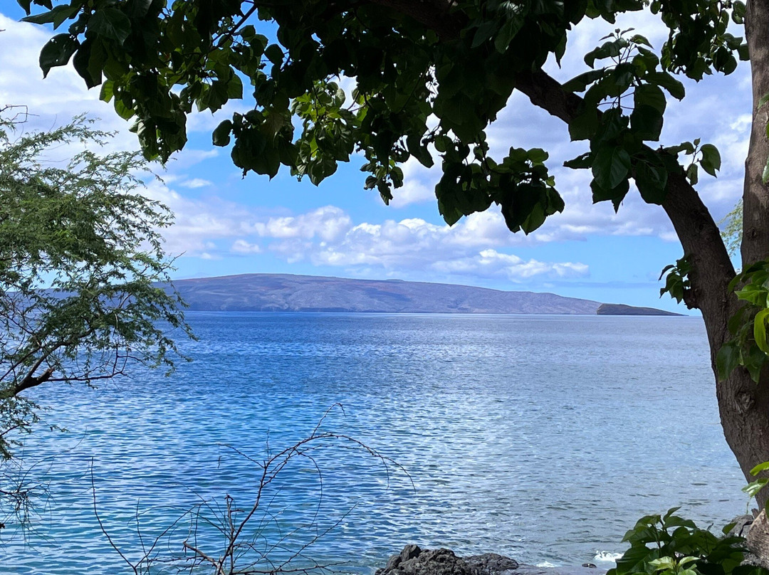 Maui Stand Up Paddle Adventures-基黑必去景点