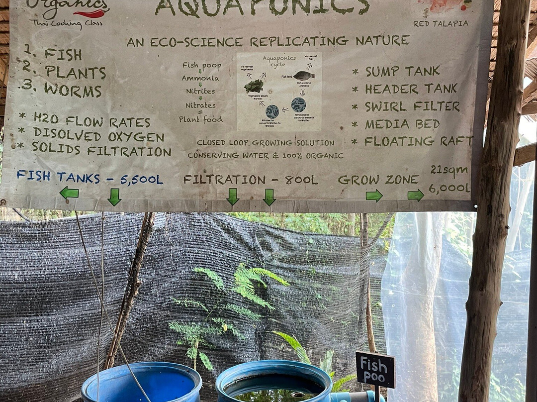 有机小岛泰式烹饪教室-查汶海滩必去景点