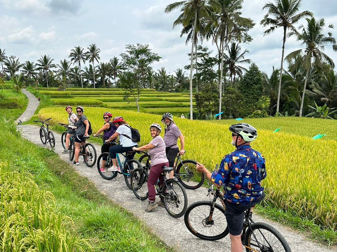 Bali Great Bike Tour-吉安雅必去景点