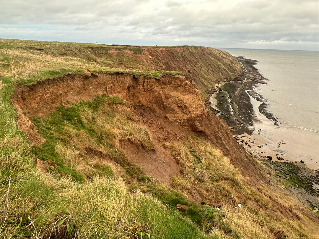 Filey Brigg景点图片