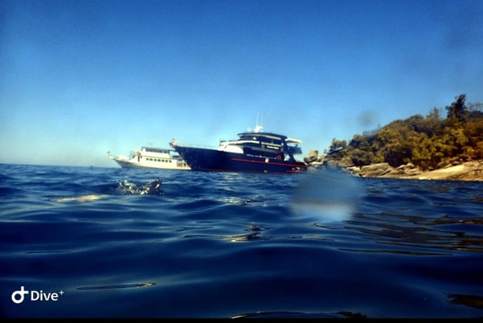 Scuba Diving Fun-查龙必去景点