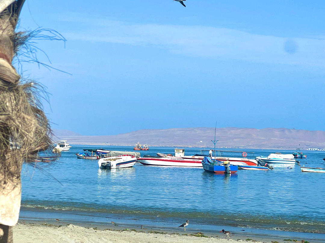 South Americans Secrets-帕拉卡斯必去景点