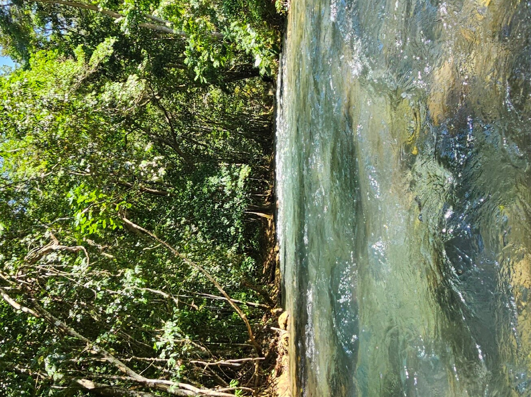 River Rapids Tubing Adventure-Rio Bueno必去景点