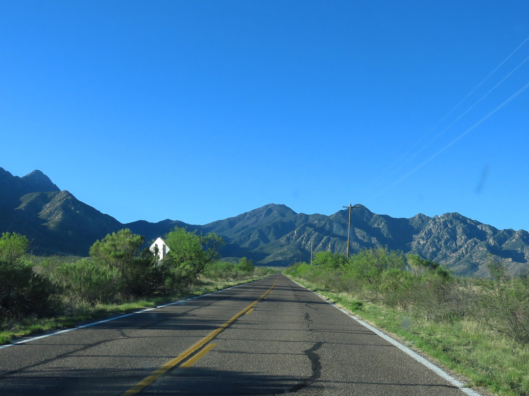 Madera Canyon-Madera Canyon必去景点