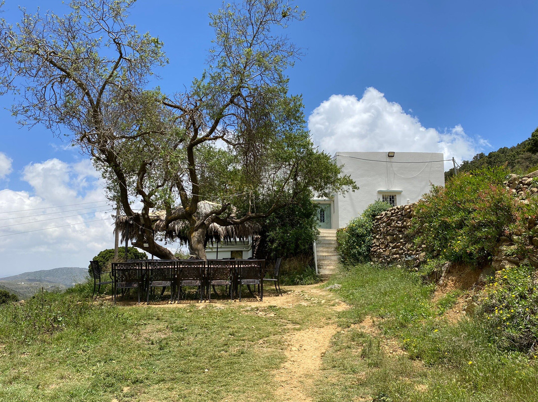 High City-Abha必去景点