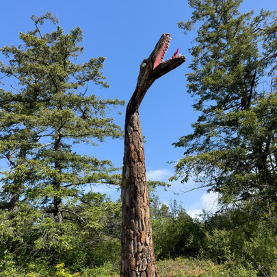 Bear Paw Charters, LLC-星期五港湾必去景点