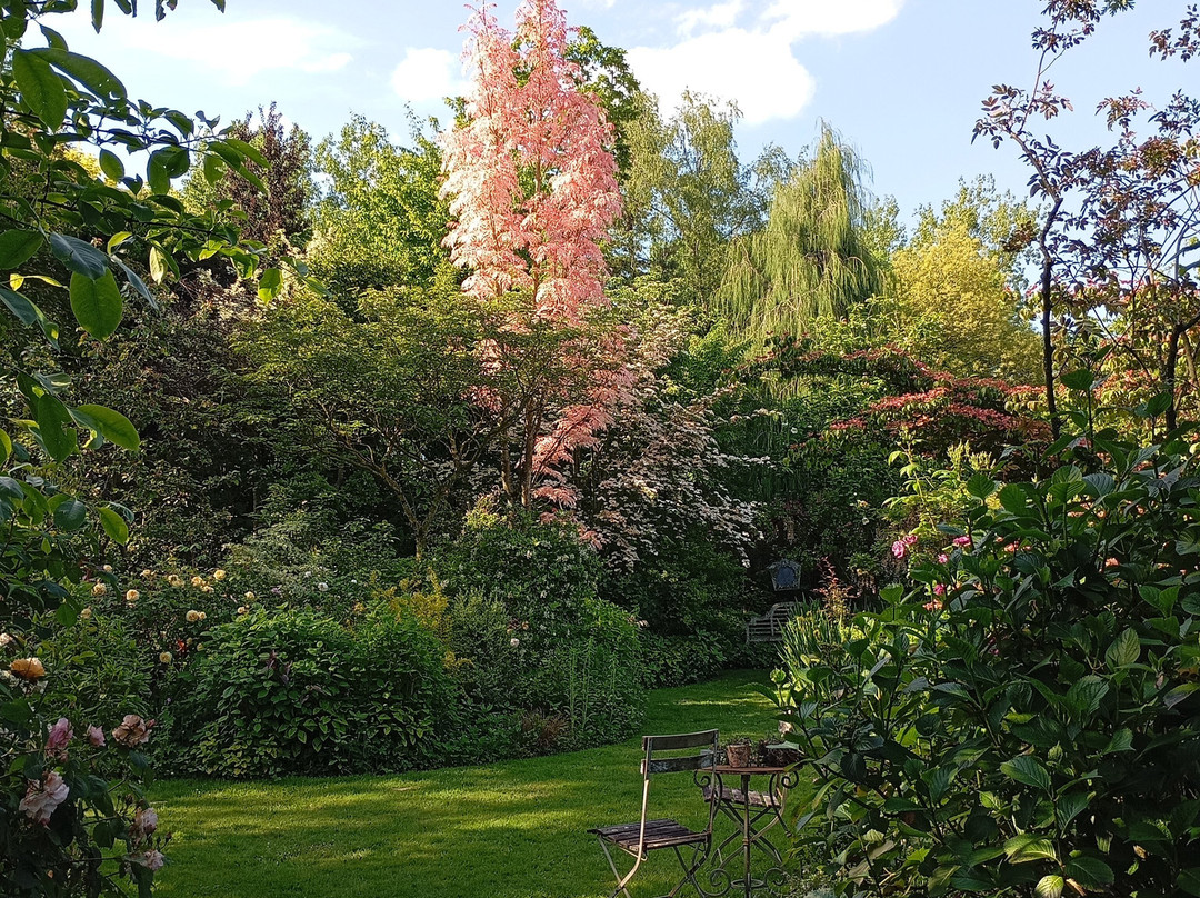Jardin des Lianes景点图片