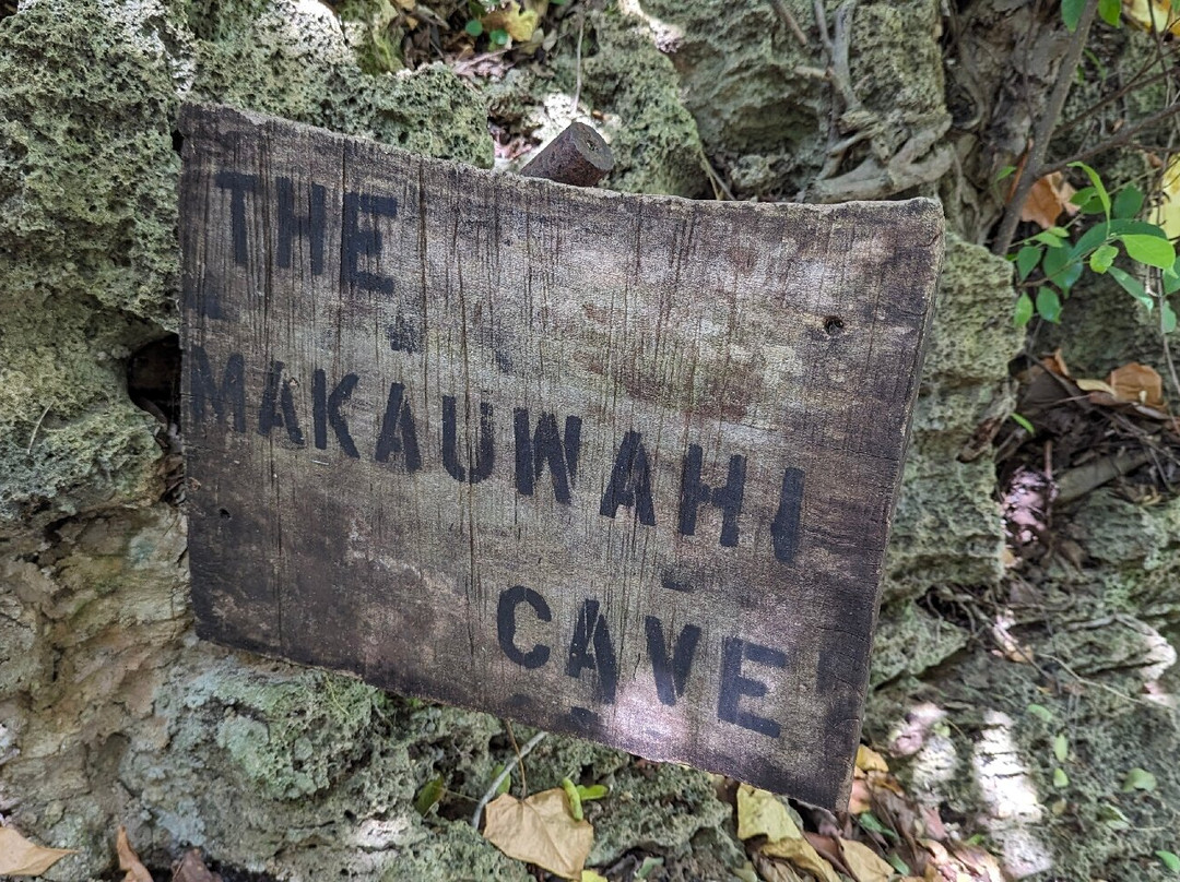 Makauwahi Cave Reserve-卡拉西奥必去景点