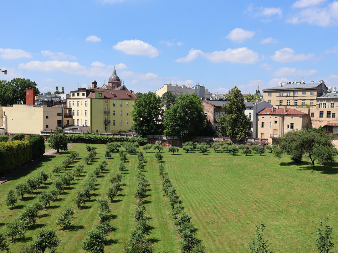 Queen Boutique Hotel主图