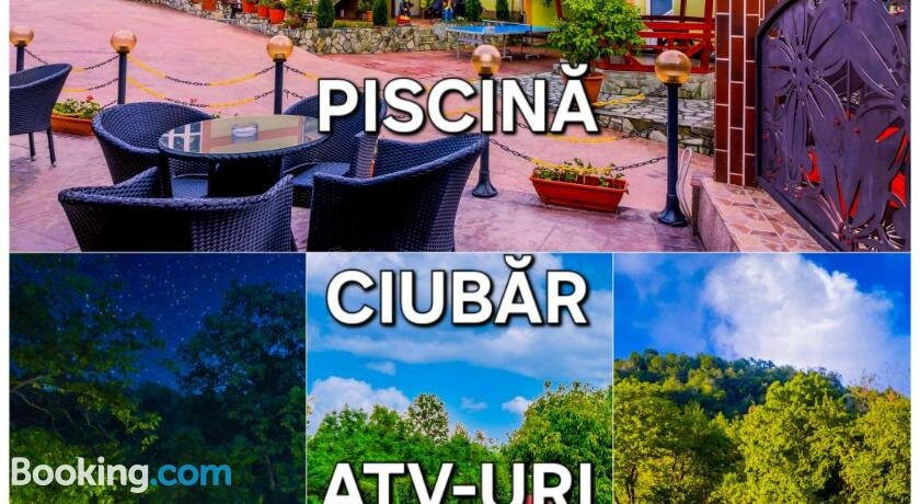 Pensiunea Mihaela主图