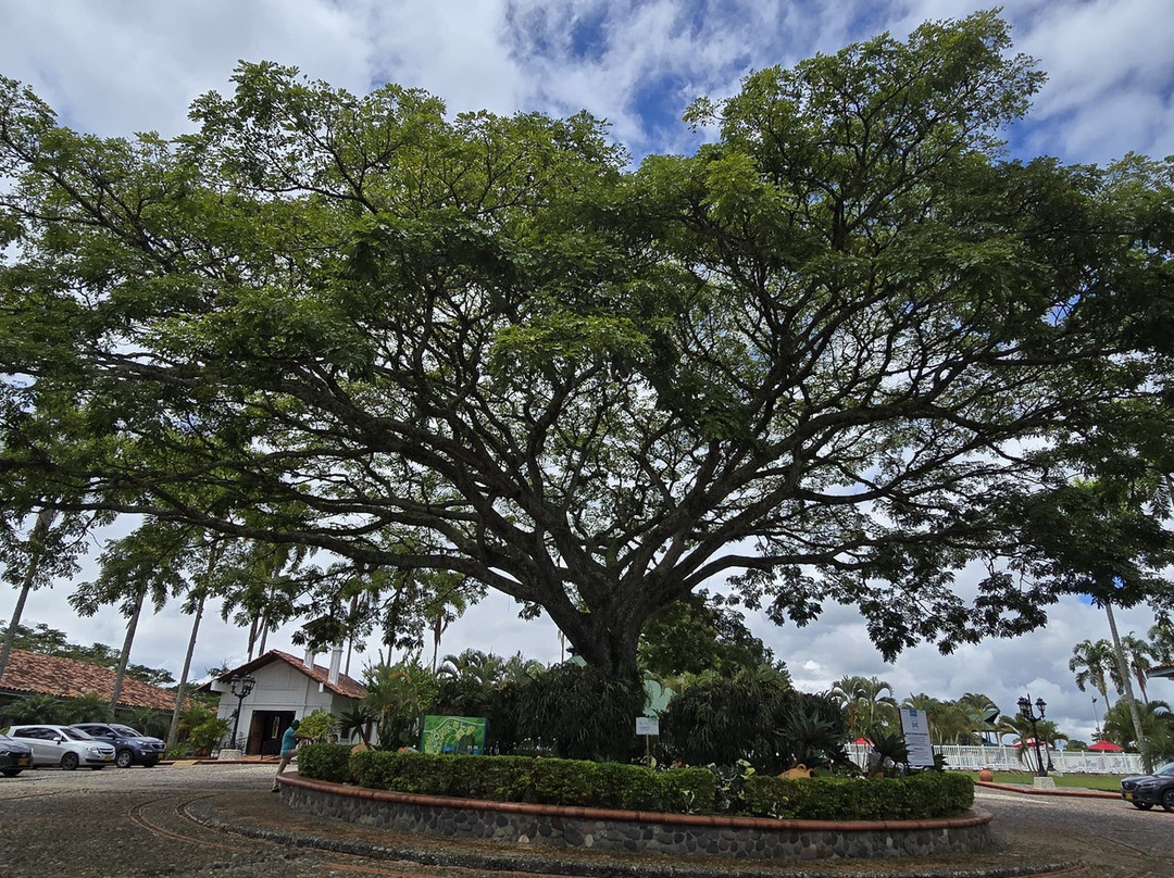 Decameron Las Heliconias主图