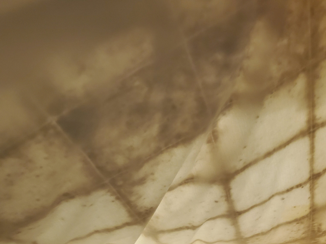 Hyatt  House Dallas/Addison主图