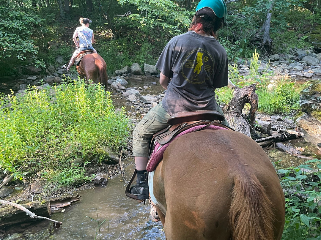 Mountaintop Ranch Wilderness Trail Rides-Elkton必去景点