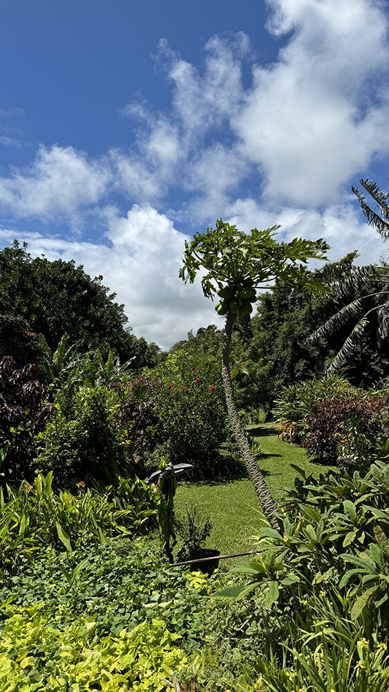 Huelo Pt Lookout Bed and Breakfast Maui-浴室