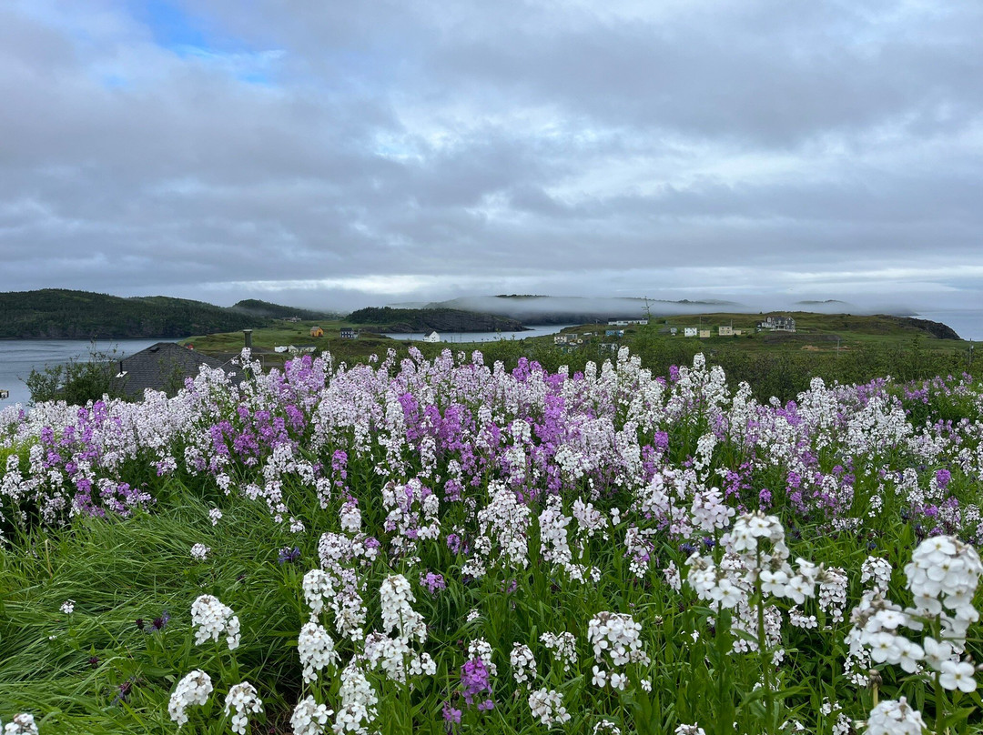 Port Rexton Brewing Co.景点图片