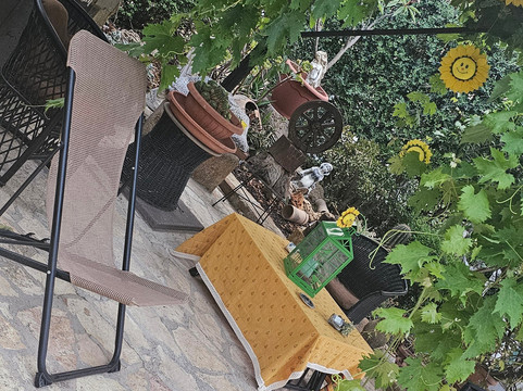 梅斯 1868 民宿主图