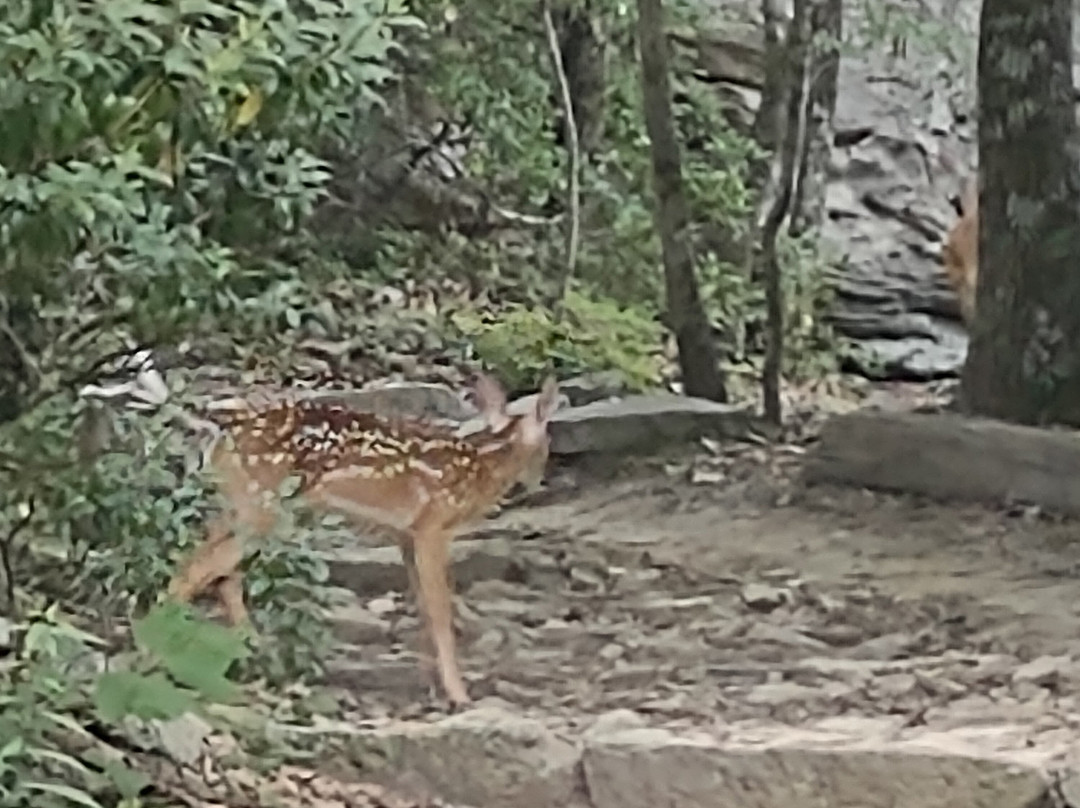 McAfee Knob-Catawba必去景点