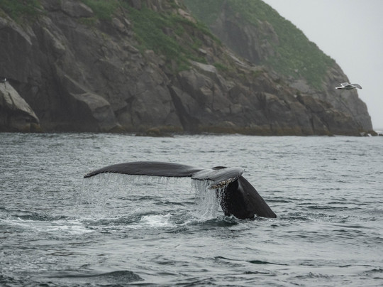 Expeditions Northwest-苏厄德必去景点