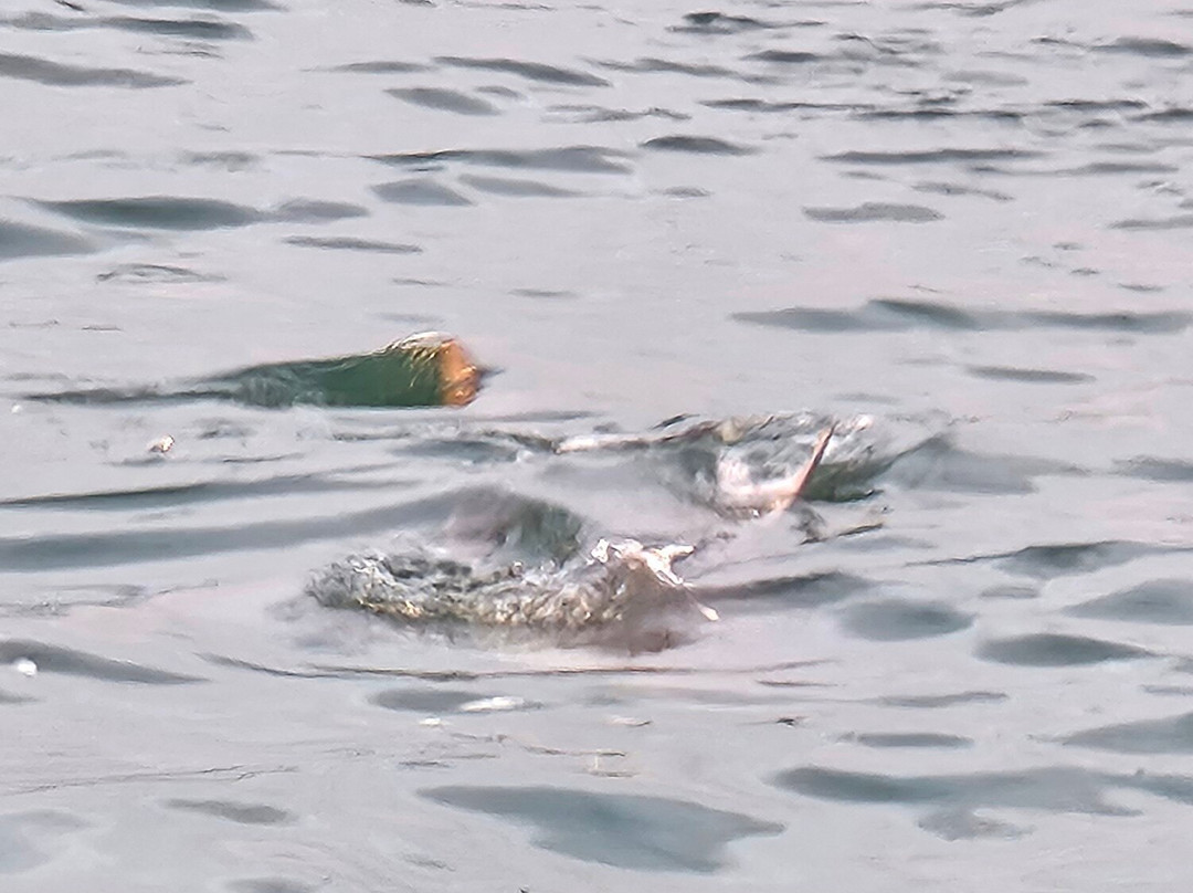 Beach Road Watersports-恩格尔伍德必去景点