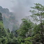 Singell Homestay主图